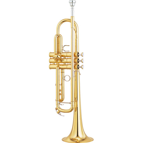 Yamaha YHR-671D Professional Horn - Key Of F/B "Geyer" Style
