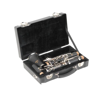 SKB Rectangular Bb Clarinet Case