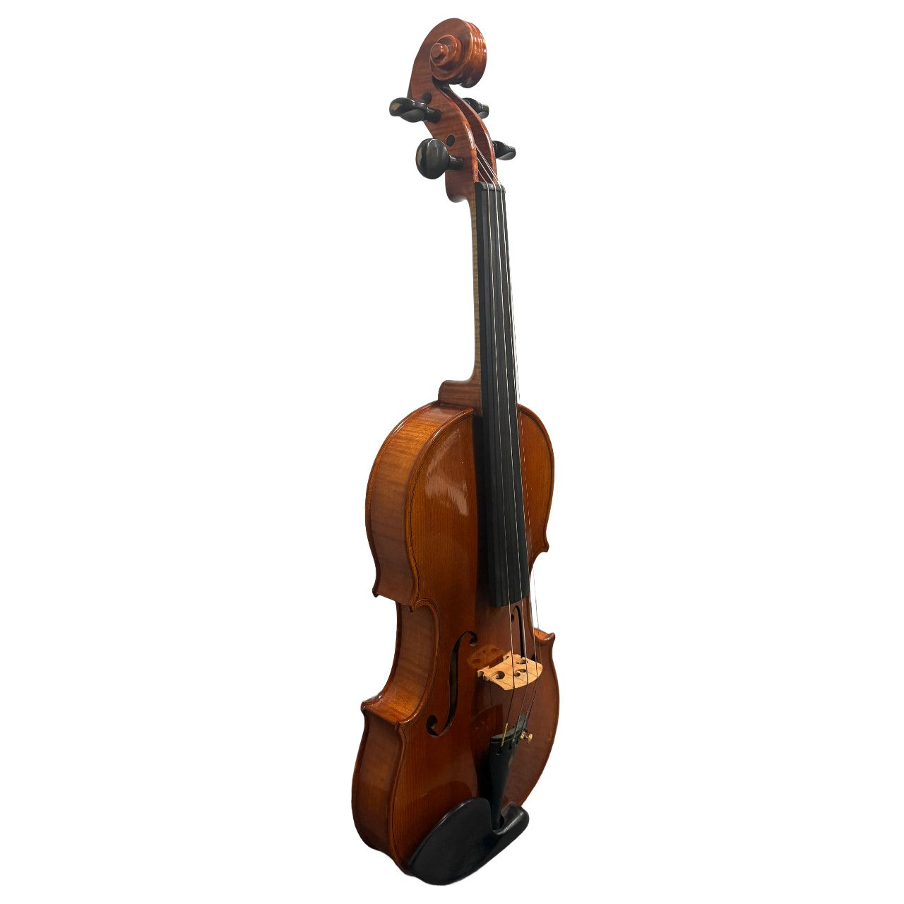 Erich Werner 223W Intermediate 4/4 Violin w/ Case (Demo Model)