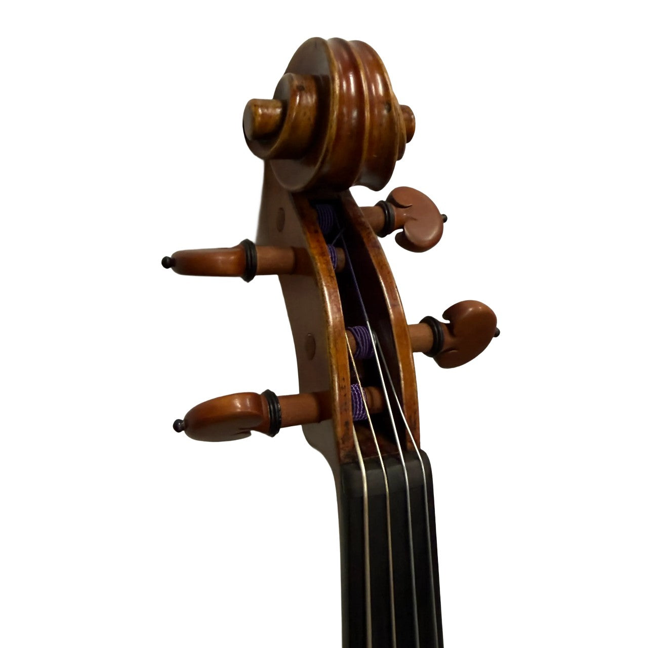 Carrera e Fino VA8155 Intermediate 15.5" Viola w/ Case