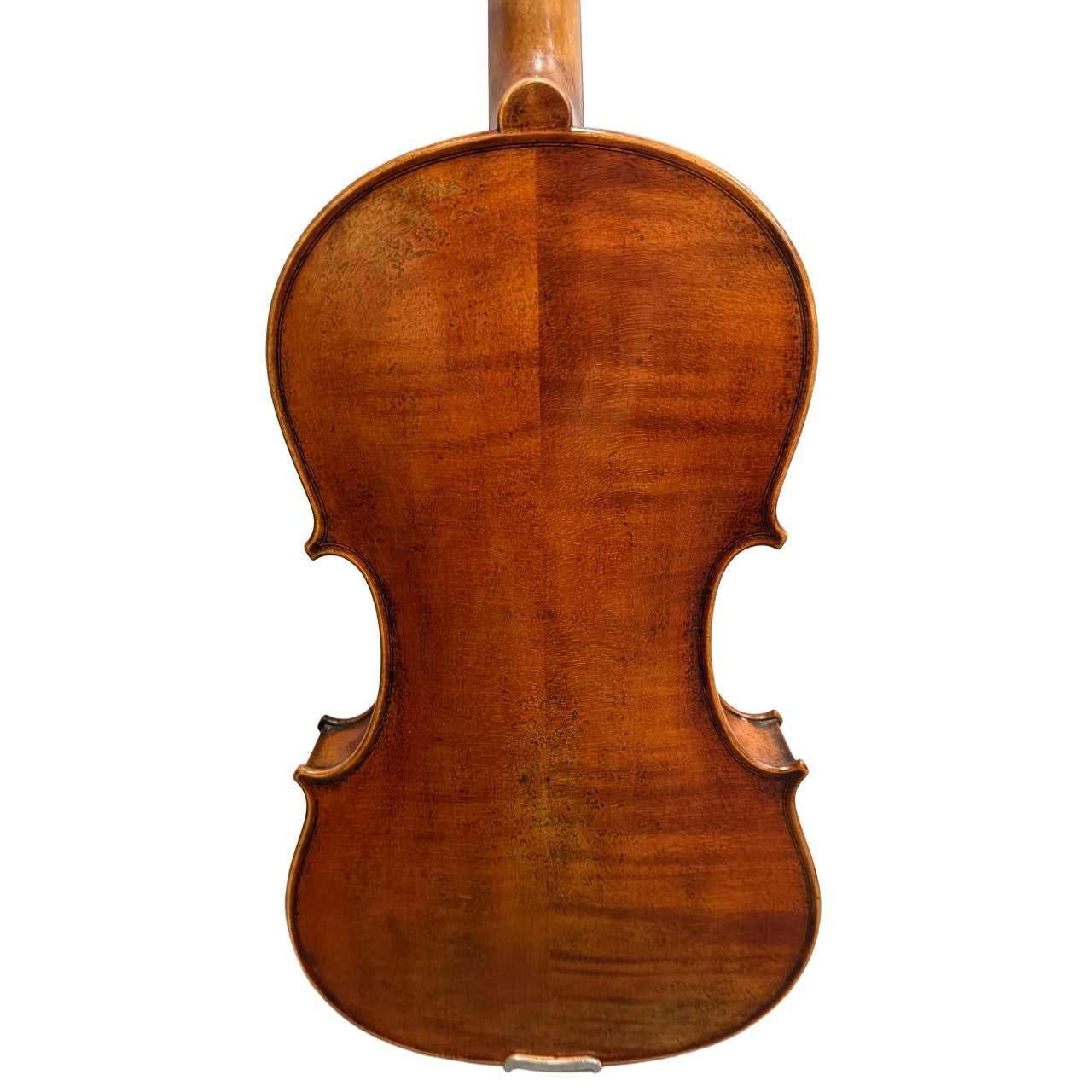 Carrera e Fino VA8155 Intermediate 15.5" Viola w/ Case