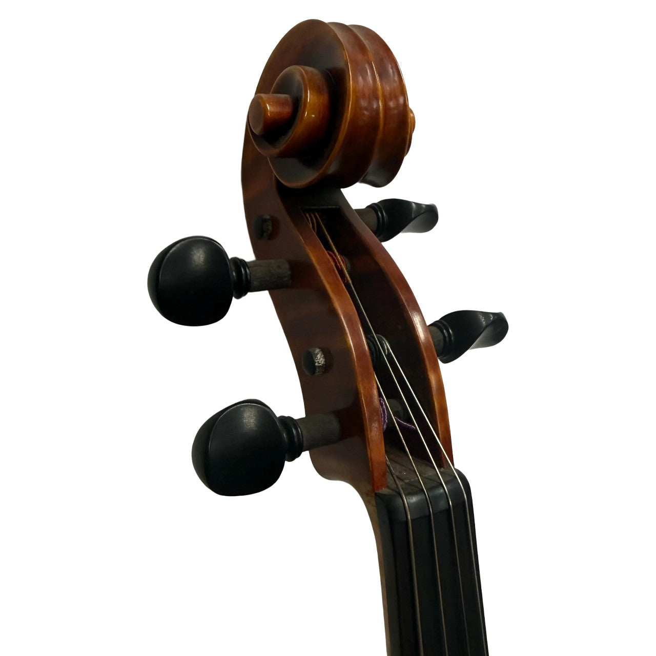 Sofia Violins Amadeus 15.5" Intermediate Viola