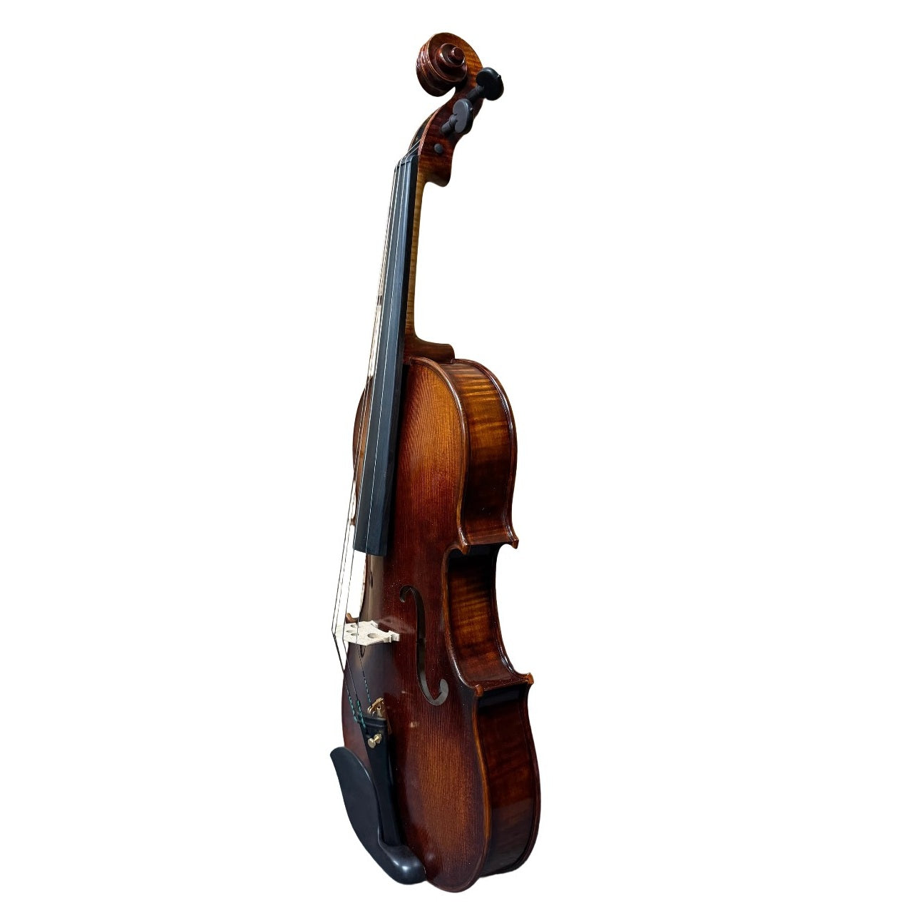 Vasari VA80 15 1/2" Intermediate Viola
