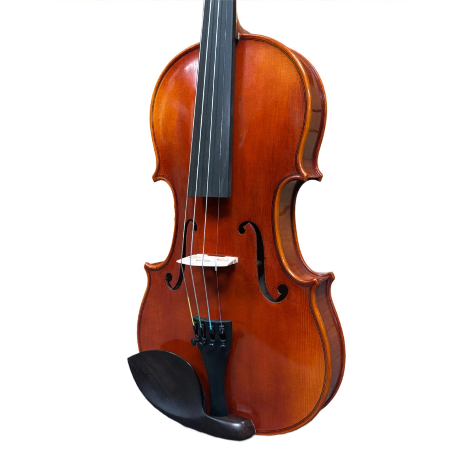Scherl & Roth SR61E4H 4/4 Sarabande Intermediate Violin Outfit
