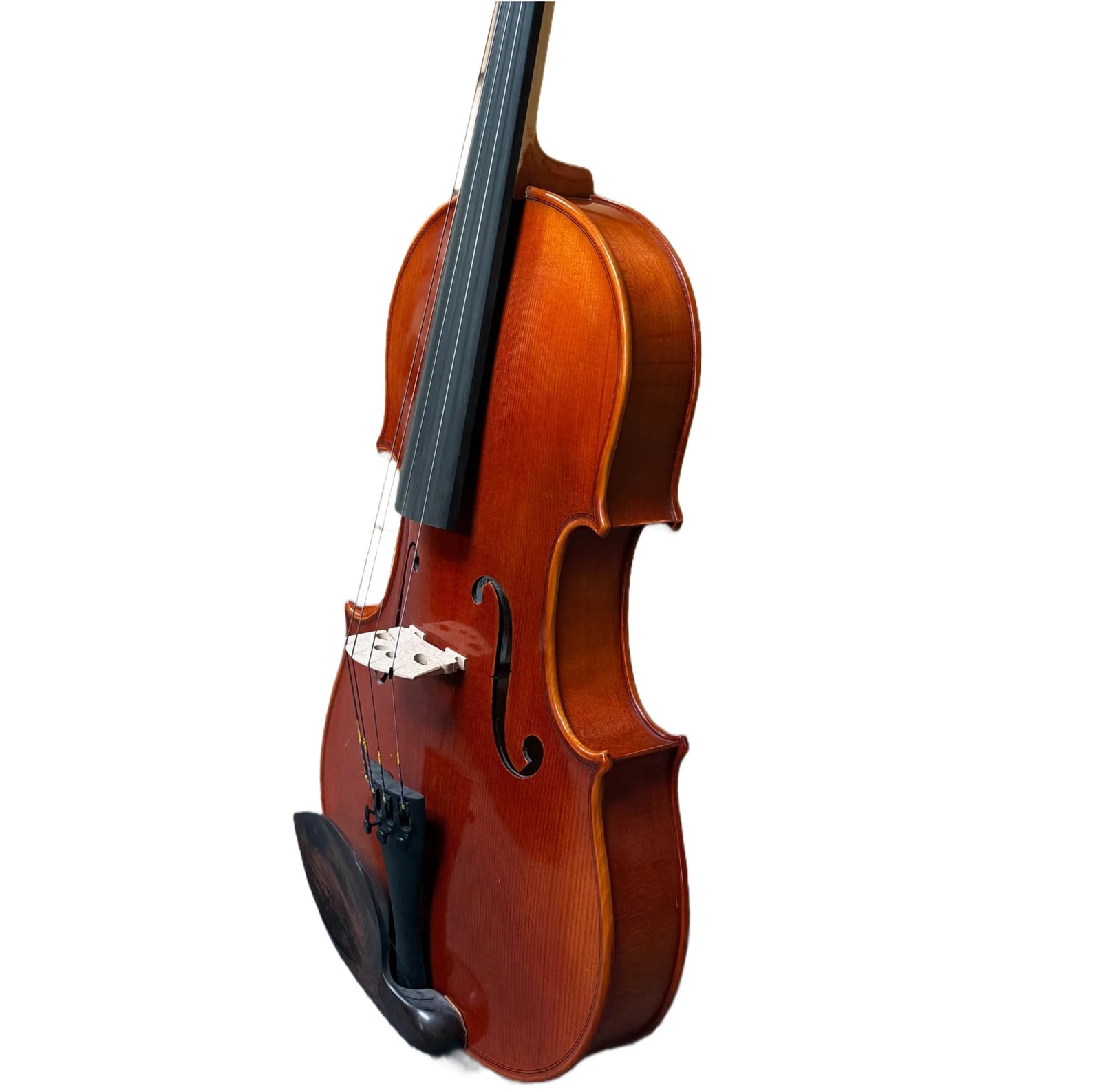 Scherl & Roth SR62E16H 16" Sarabande Intermediate Viola Outfit