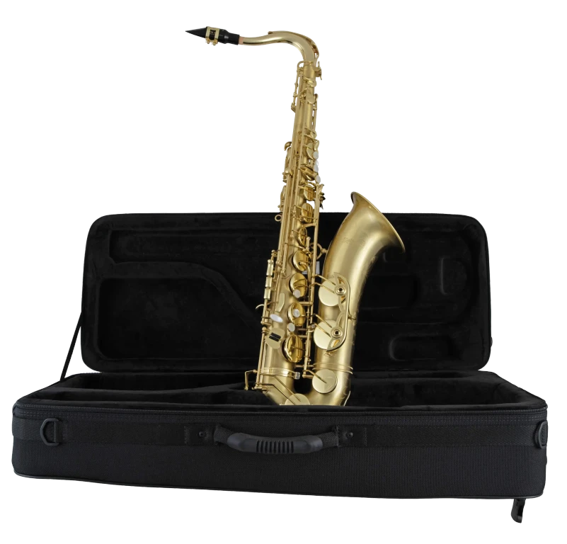 Selmer STS711M Professional Tenor Saxophone Matte Finish