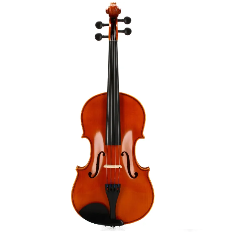 Viola_20295902-ecf7-4139-8958-