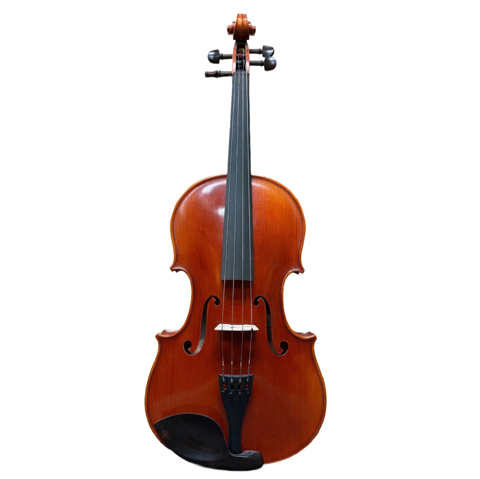 Scherl & Roth SR62E16H 16" Sarabande Intermediate Viola Outfit
